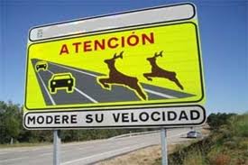 reconocimientos medicos certificado armas barcelona